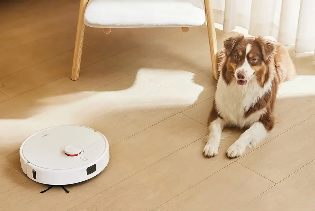 Robot ideainferno avec un chat